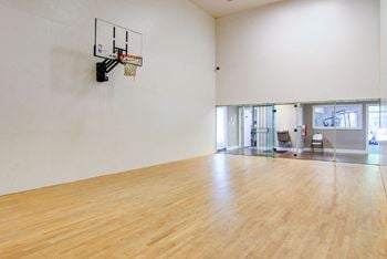 Basketball court